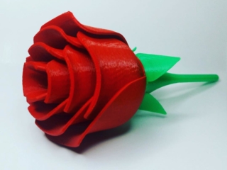 Make_a_Shape_Rosa_Filamento_PLA_Rosso_Verde