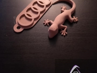 PLA_WOOD_MAKE_A_SHAPE_GEKO_AUDI_DELTA_CORPS_3D